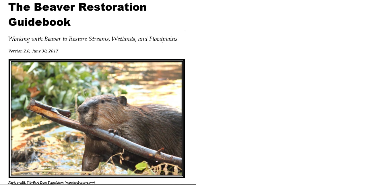 Colorado Beaver Working Group Defenders of Wildlife